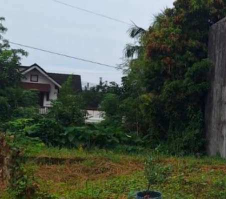 (Category: ) located in . Submitted by habitto (Listing ID 1416614444, Image 1). Description: .