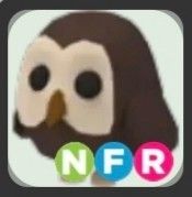 NEON FLY RIDE NFR OWL | ADOPT ME | ROBLOX, Video Gaming, Gaming ...