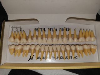 (Category: ) located in . Submitted by grailouise (Listing ID 1416596908, Image 1). Description: .