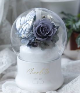Preserved Fresh Flowers Collection Collection item 1