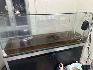 （分類：）位於 。 由 wgv2rtm5vf 提交（商品編號 1413197286，圖片 1）。簡介： 。