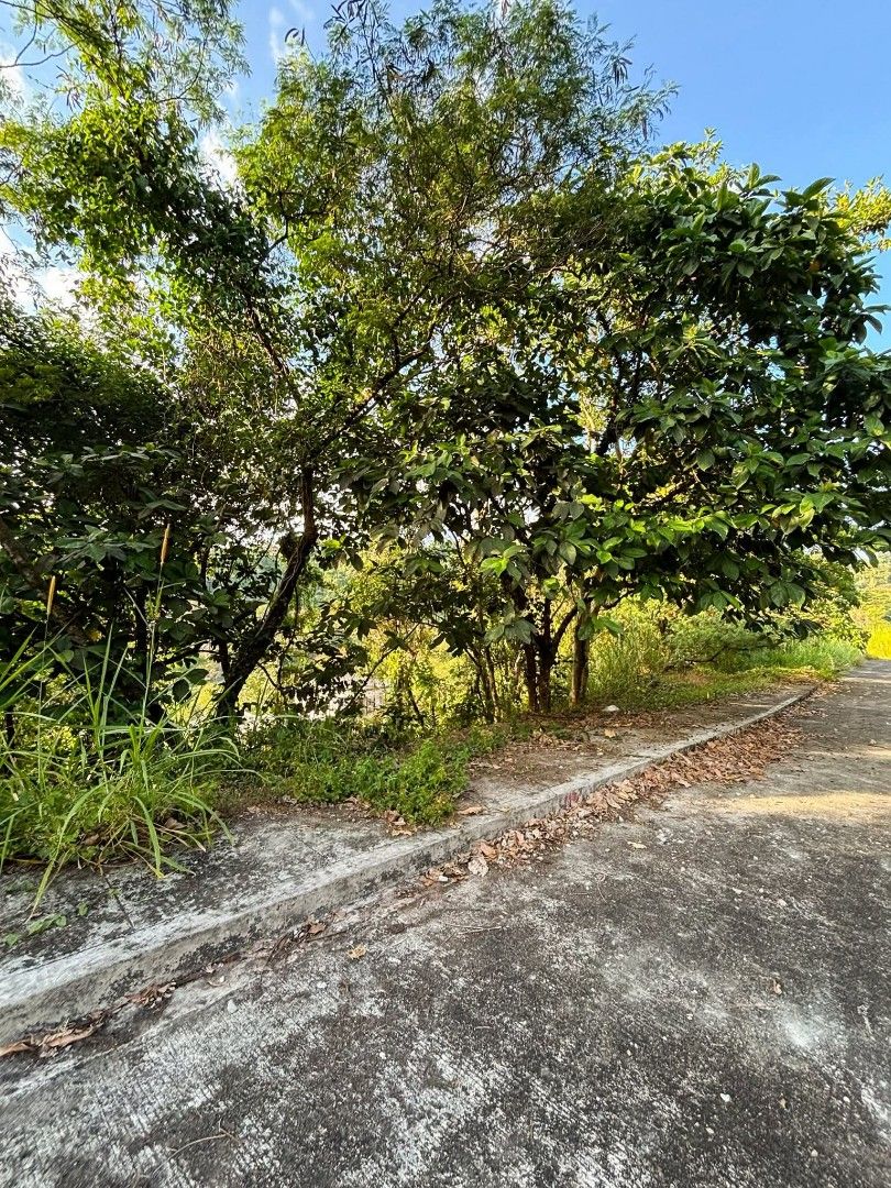 Antipolo lot for sale (Category: Lot) located in San Luis. Submitted by goldenfox-505763 (Listing ID 1413078406, Image 1). Description: Lot for Sale at Sun Valley Estates Antipolo!! Location: Phase 3 Sun Valley Golf and Residential Estates Antipolo Lot Area: 312 sqm. Price per sqm: PHP 14,500 TCP: PHP 4,524,000 Payment Terms: Cash/Bank Finance Clean title and Updated Realty Tax transferrable upon full payment Advantages: ♦ Very Near right above t