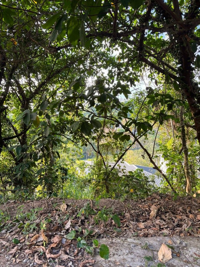 Antipolo lot for sale (Category: Lot) located in San Luis. Submitted by goldenfox-505763 (Listing ID 1413078406, Image 2). Description: Lot for Sale at Sun Valley Estates Antipolo!! Location: Phase 3 Sun Valley Golf and Residential Estates Antipolo Lot Area: 312 sqm. Price per sqm: PHP 14,500 TCP: PHP 4,524,000 Payment Terms: Cash/Bank Finance Clean title and Updated Realty Tax transferrable upon full payment Advantages: ♦ Very Near right above t