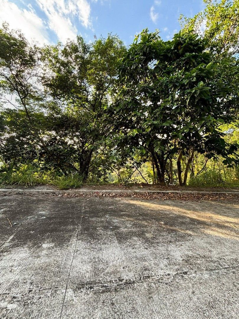 Antipolo lot for sale (Category: Lot) located in San Luis. Submitted by goldenfox-505763 (Listing ID 1413078406, Image 3). Description: Lot for Sale at Sun Valley Estates Antipolo!! Location: Phase 3 Sun Valley Golf and Residential Estates Antipolo Lot Area: 312 sqm. Price per sqm: PHP 14,500 TCP: PHP 4,524,000 Payment Terms: Cash/Bank Finance Clean title and Updated Realty Tax transferrable upon full payment Advantages: ♦ Very Near right above t