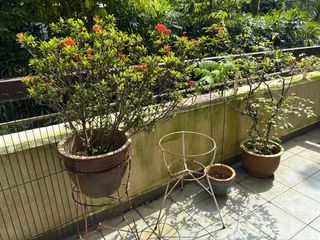 (Category: ) located in . Submitted by poojakd (Listing ID 1413052128, Image 1). Description: .