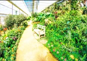 (Category: ) located in . Submitted by royal.landscape.garden (Listing ID 1413141369, Image 1). Description: .