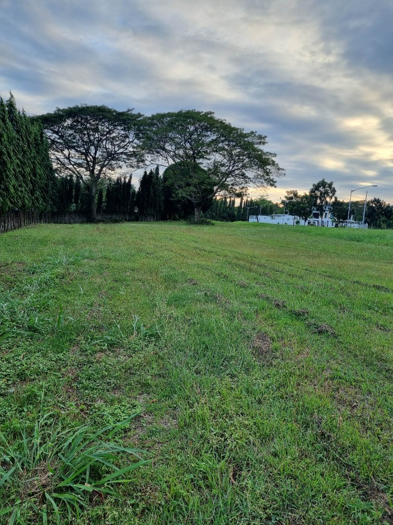 (Category: ) located in . Submitted by ms.dexie_bona (Listing ID 1413154714, Image 1). Description: .