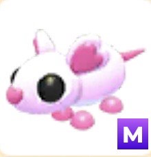 (Category: ) located in . Submitted by cinnamonrollwhirl (Listing ID 1413063005, Image 1). Description: .