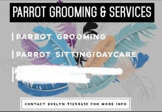 (Category: ) located in . Submitted by missyredpanda (Listing ID 1264163717, Image 1). Description: .