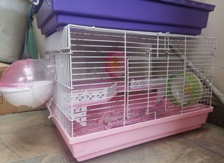 (Category: ) located in . Submitted by fwhl9 (Listing ID 1413187480, Image 1). Description: .