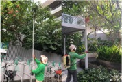(Category: ) located in . Submitted by royal.landscape.garden (Listing ID 1413140868, Image 1). Description: .