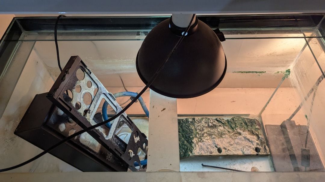 Turtle & Reptile Aquarium Equipment Set (Category: Homes & Other Pet Accessories) located in Manila. Submitted by h4mm3rsqu1sh (Listing ID 1413198066, Image 3). Description: Turtle & Reptile Aquarium Equipment Set -30 Gallon Tank -Filter & Water Pump -UV Lamp -Basking Lamp -Basking platform Good for baby turtles, etc. Selling as is, no longer needed. 😢.