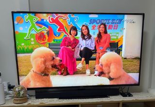 （分類：）位於 。 由 cherineching 提交（商品編號 1416770514，圖片 1）。簡介： 。