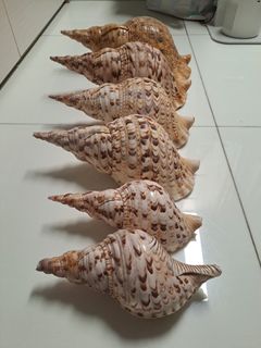（分類：）位於 。 由 EY.Y. 提交（商品編號 1416812488，圖片 1）。簡介： 。