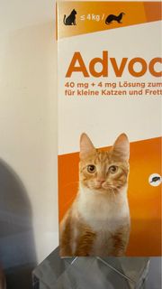 （分類：）位於 。 由 oocats 提交（商品編號 1416750789，圖片 1）。簡介： 。