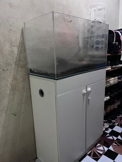 (Category: ) located in . Submitted by hapsaaaaaa (Listing ID 1416663876, Image 1). Description: .