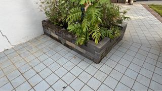 (Category: ) located in . Submitted by jmw8888 (Listing ID 1416305986, Image 1). Description: .