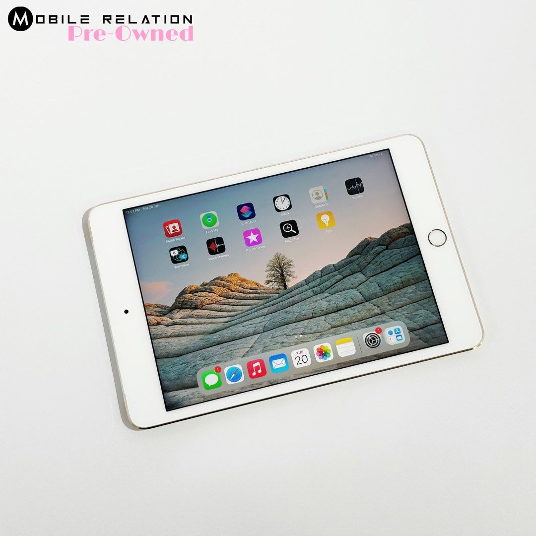 iPad Mini 4 7.9