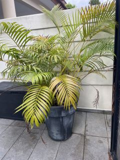 (Category: ) located in . Submitted by amostert (Listing ID 1416733770, Image 1). Description: .