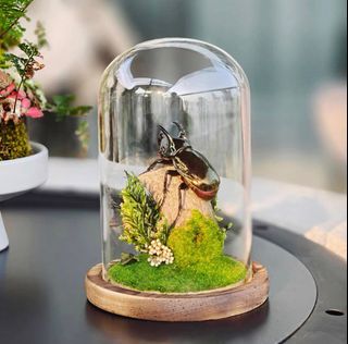 （分類：）位於 。 由 ryanding 提交（商品編號 1416873756，圖片 1）。簡介： 。