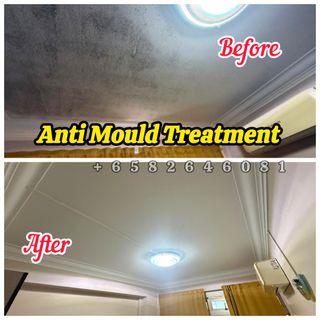 Anti Mould Treatment  Collection item 3