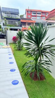 (Category: ) located in . Submitted by smclandscape (Listing ID 1416844782, Image 1). Description: .