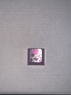 (Category: ) located in . Submitted by dogyummy (Listing ID 1417074339, Image 1). Description: .