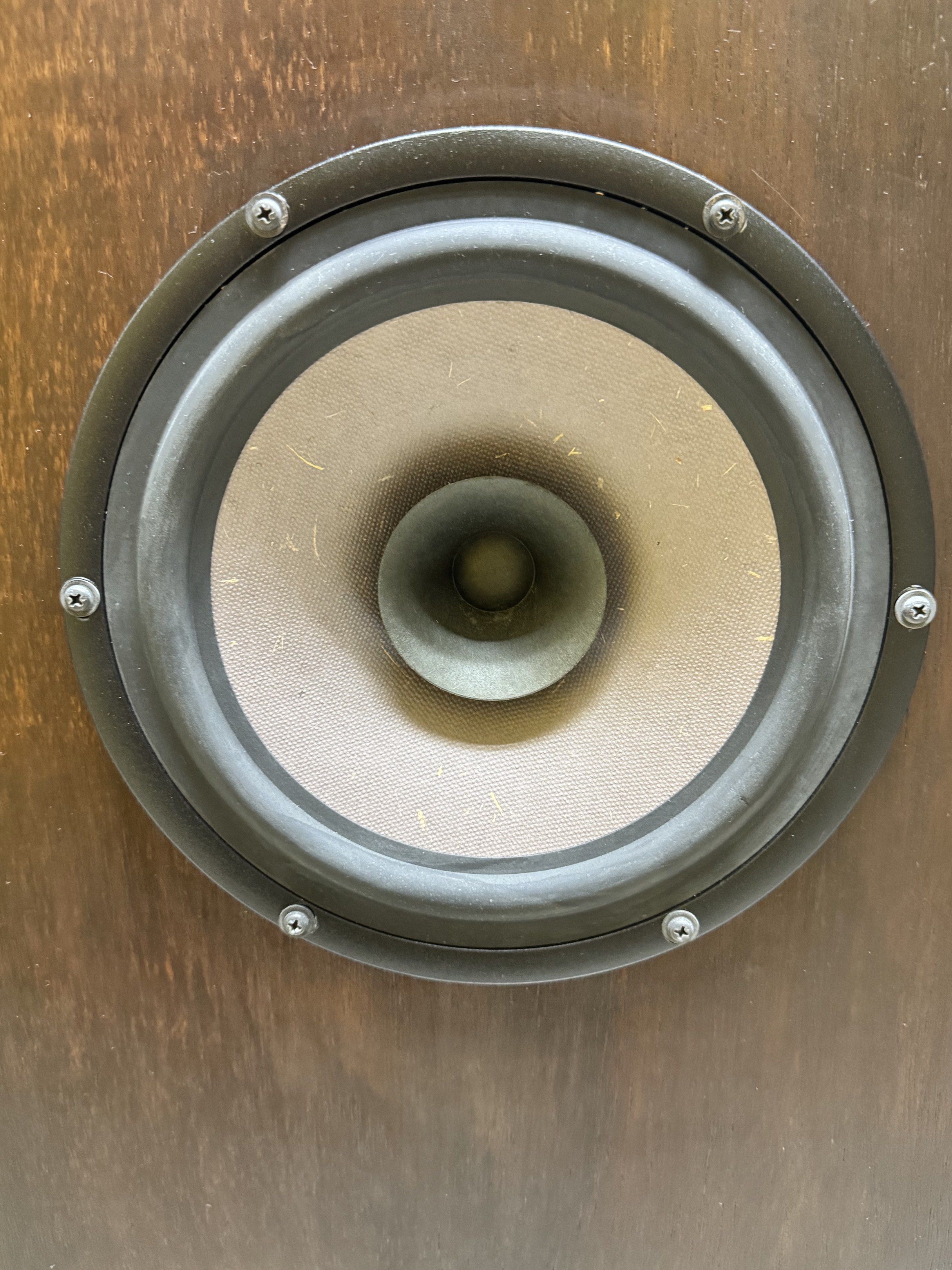 Floor Standing Speaker65561058493059112