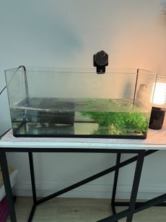 (Category: ) located in . Submitted by fififeli (Listing ID 1417122743, Image 1). Description: .