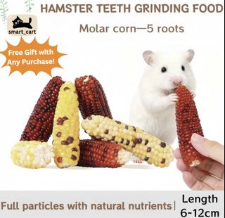 Paw-sitive Living Picks Collection item 2