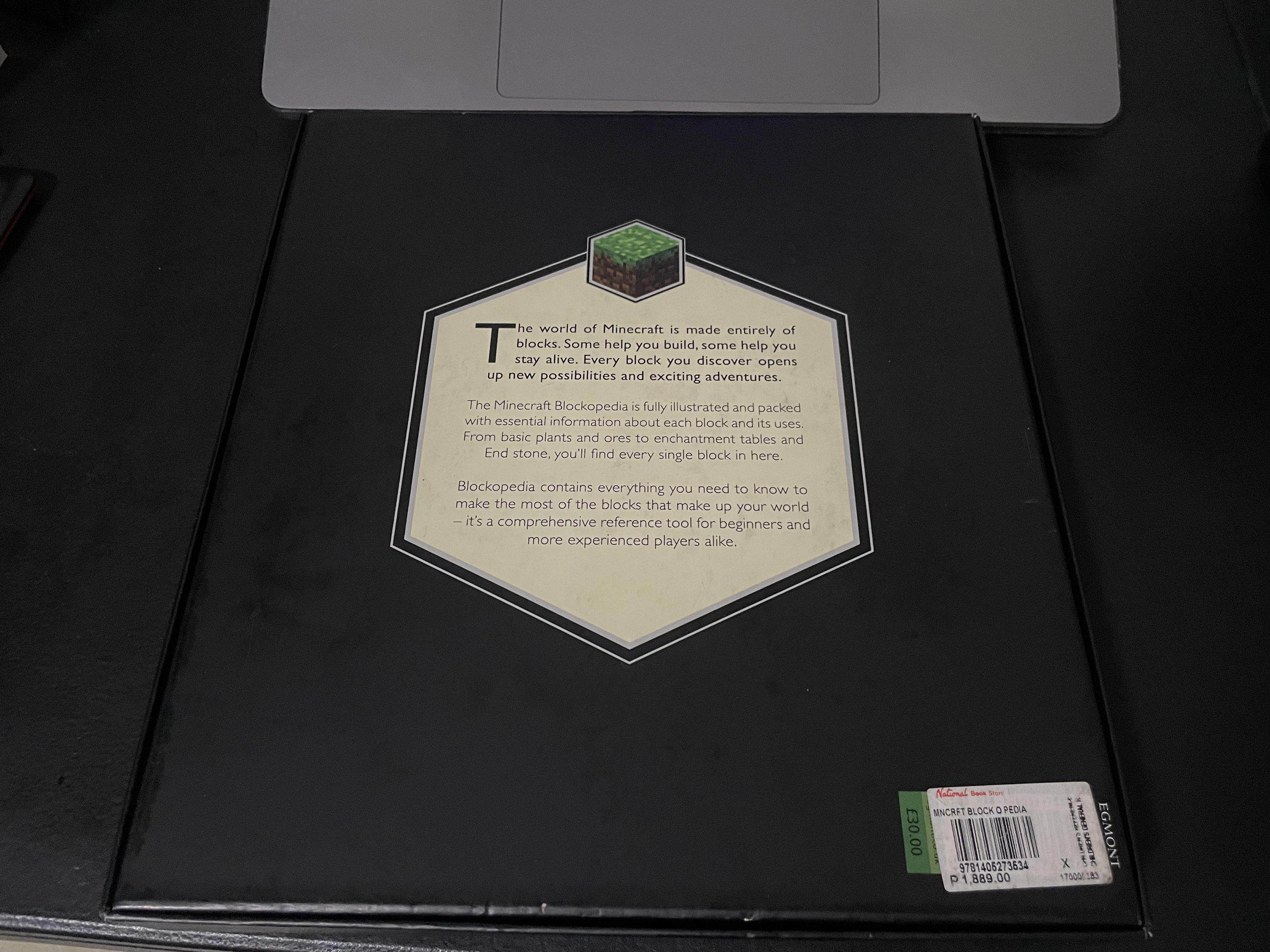 Updated Blockopedia Minecraft Blockopedia First Edition, Hobbies & Toys, Books & Magazines ...
