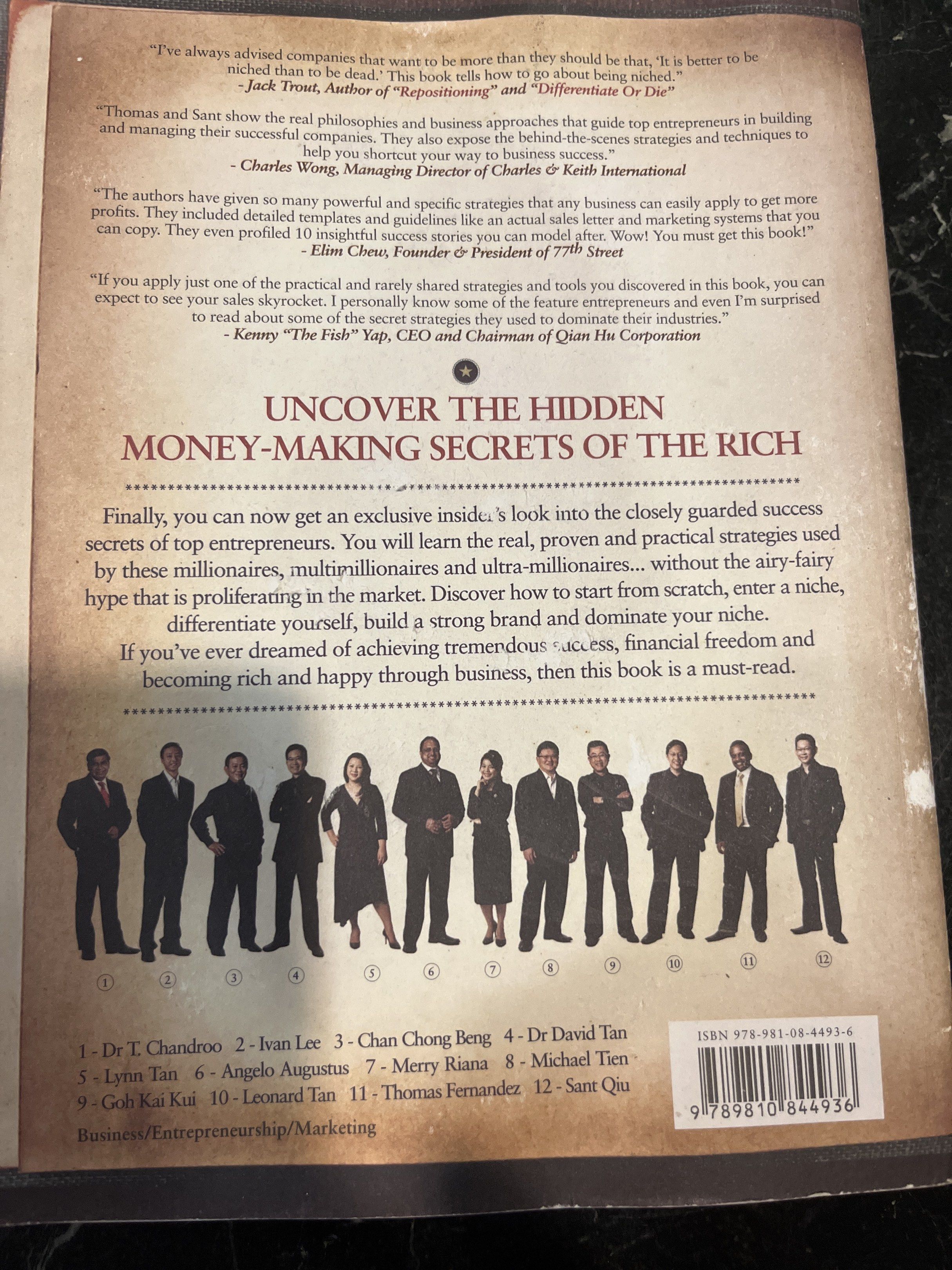 Niche Dominators Success Secrets Exposed Top Entrepreneurs Reveal