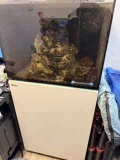 （分類：）位於 。 由 jimmylee511 提交（商品編號 1417133685，圖片 1）。簡介： 。