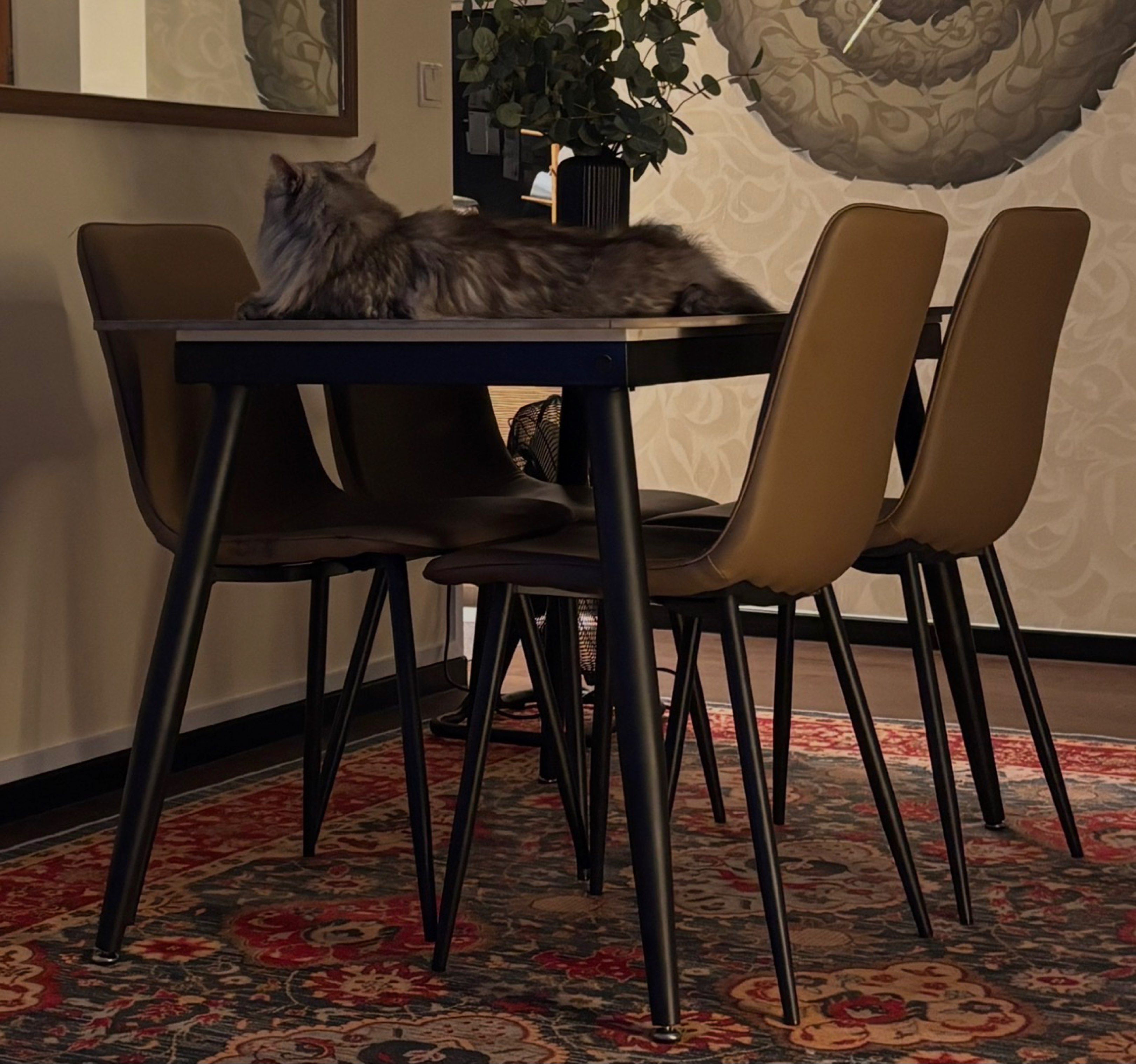Dining table (Category: Tables & Sets) located in Singapore. Submitted by icedcoffeetea (Listing ID 1417355459, Image 1). Description: What you see is what you get 130cm by 79cm The table top is Light grey colour sintered stone alike Message me if want closer look All four chairs included Fast deal $100 Arrange own delivery.