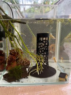 (Category: ) located in . Submitted by rosiees (Listing ID 1417484350, Image 1). Description: .