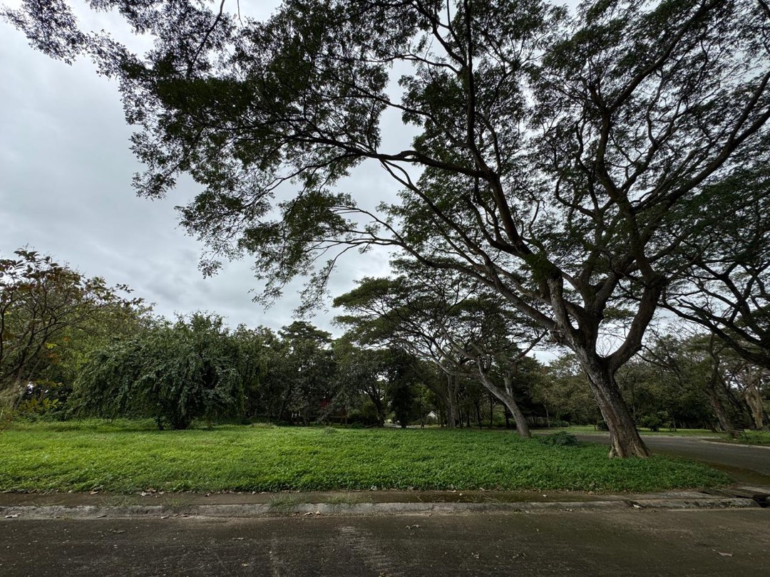 (Category: ) located in . Submitted by ImatchRealty_Kins (Listing ID 1417027364, Image 1). Description: .
