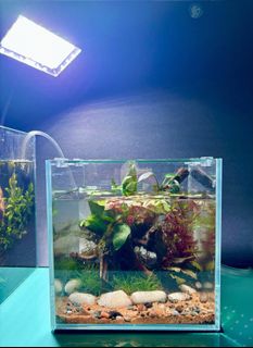 (Category: ) located in . Submitted by built_to_nature (Listing ID 1417455998, Image 1). Description: .