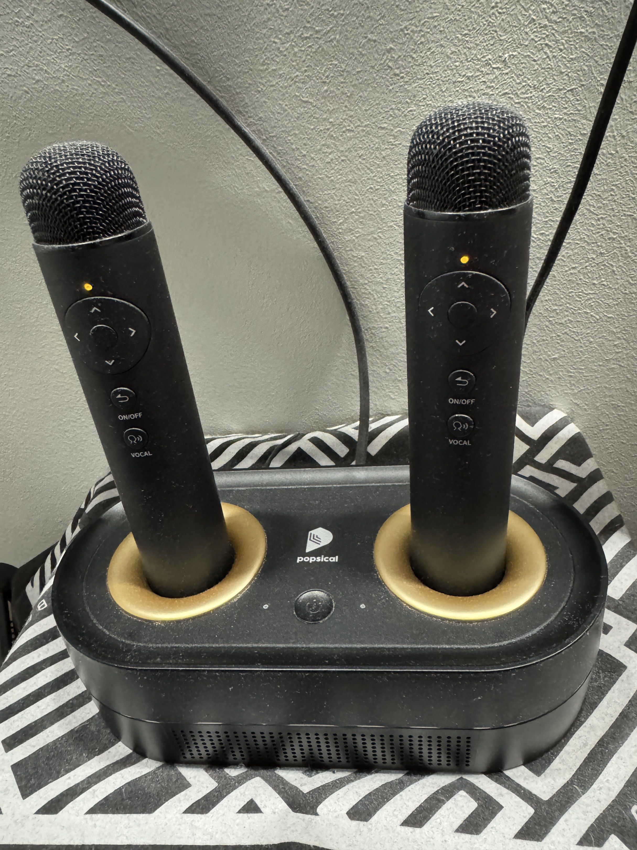 Popsical Karaoke Microphone Set65195055908098110