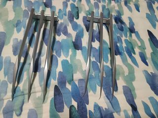 (Category: ) located in . Submitted by phancharlesholland (Listing ID 1417526863, Image 1). Description: .