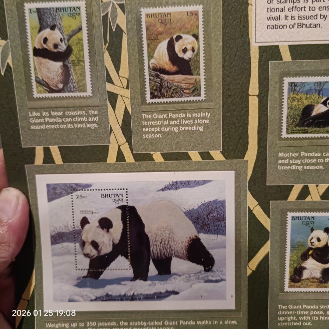 Bhutan Giant Panda Stamps (Category: Stamps & Prints) located in Calasiao. Submitted by anthonypeter (Listing ID 1417730194, Image 2). Description: - Bhutan Giant Panda Stamp Collection - Features stamps with adorable panda scenes: - Eating bamboo - With their cubs - In their natural habitat - Part of a series issued by Bhutan..