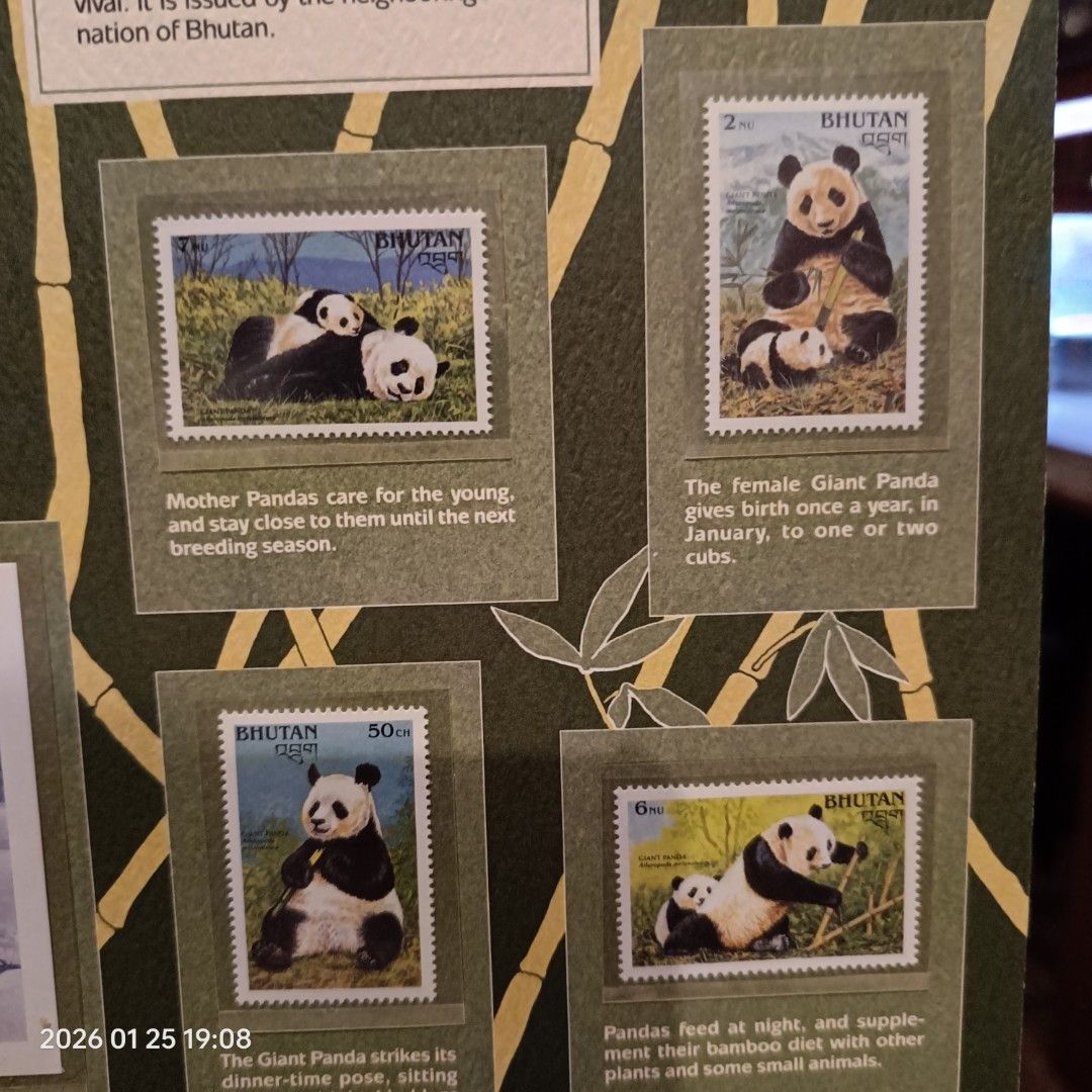 Bhutan Giant Panda Stamps (Category: Stamps & Prints) located in Calasiao. Submitted by anthonypeter (Listing ID 1417730194, Image 3). Description: - Bhutan Giant Panda Stamp Collection - Features stamps with adorable panda scenes: - Eating bamboo - With their cubs - In their natural habitat - Part of a series issued by Bhutan..