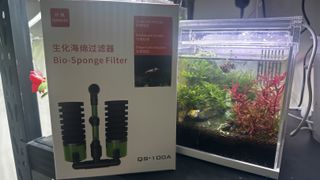 （分類：）位於 。 由 rakiC 提交（商品編號 1417669278，圖片 1）。簡介： 。