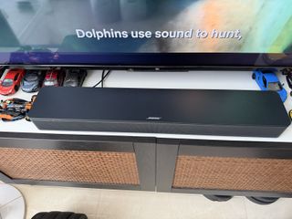 (Category: ) located in . Submitted by bellecare (Listing ID 1417614900, Image 1). Description: .