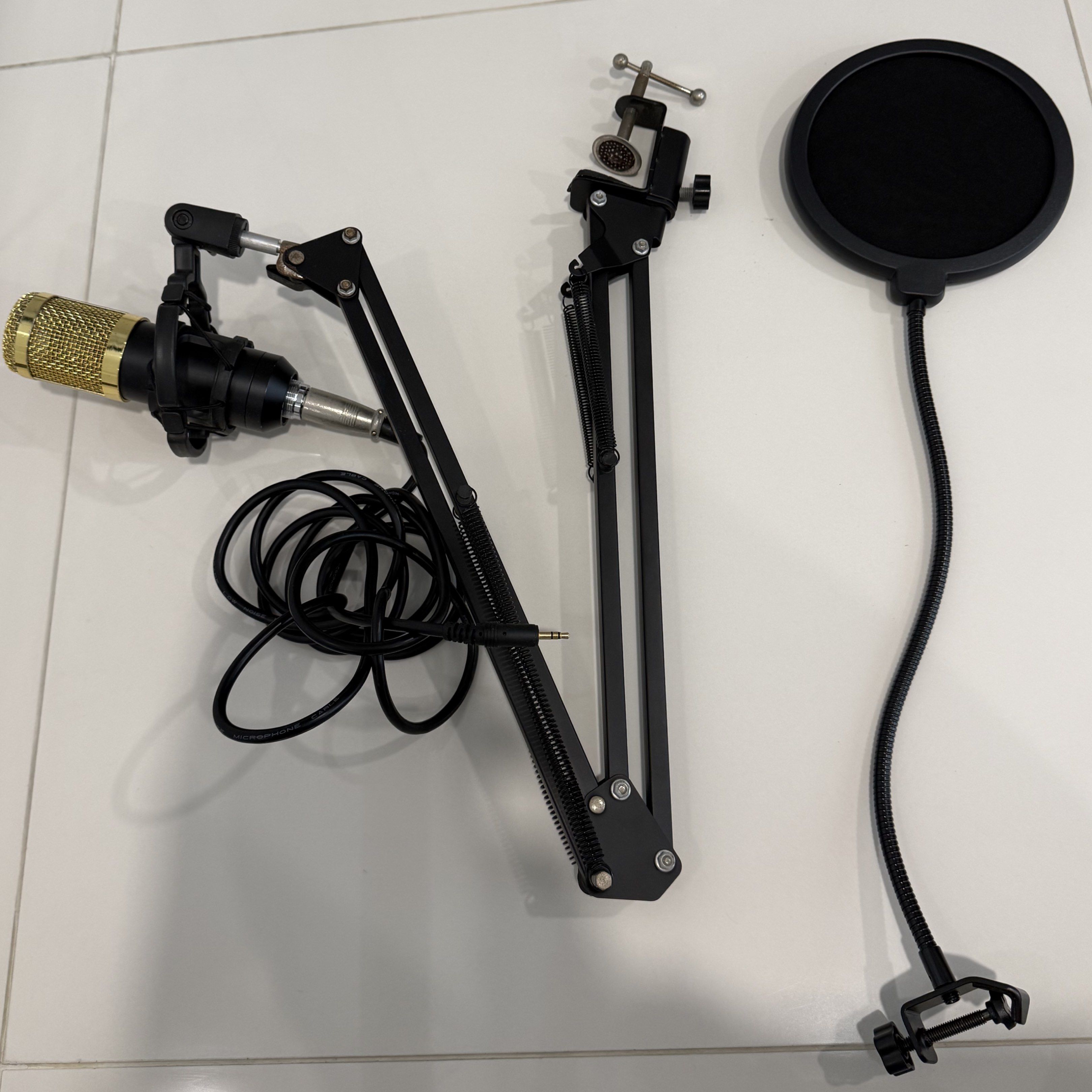 Condenser Microphone with Boom Arm and Pop Filter