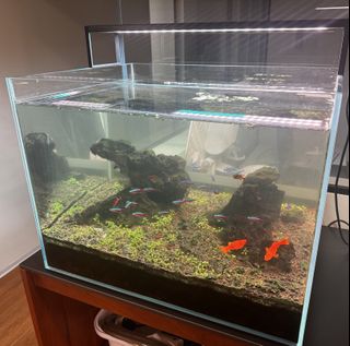 (Category: ) located in . Submitted by sharonzhou (Listing ID 1417665664, Image 1). Description: .