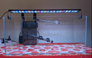 (Category: ) located in . Submitted by holicstar (Listing ID 1417726081, Image 1). Description: .