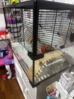 (Category: ) located in . Submitted by santdas (Listing ID 1417611410, Image 1). Description: .