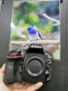 （分類：）位於 。 由 shamwo_114 提交（商品編號 1417637811，圖片 1）。簡介： 。