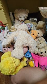(Category: ) located in . Submitted by dog04 (Listing ID 1417993423, Image 1). Description: .