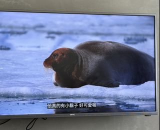 由 helloclever (刊登 ID 1417876924，圖片 1) 提交，位於 的 (類別：)，說明：。